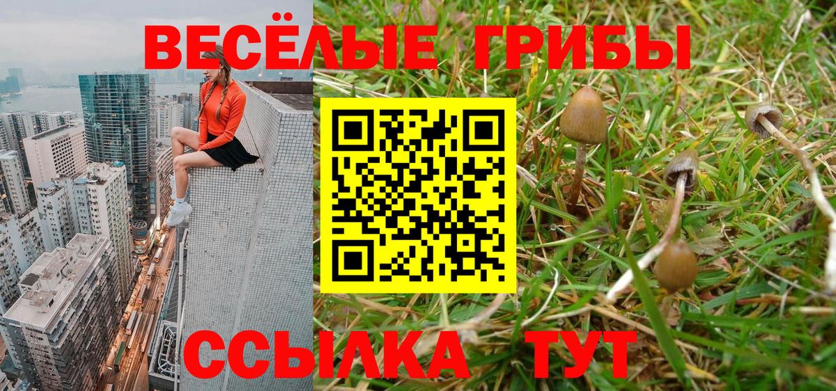 Новотроицк  Галлюциногенные грибы Cubensis  Вход с VPN 